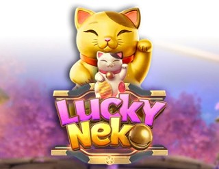 Official Slots logo: Lucky Neko by PG Soft at Stake Casino